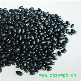 黑豆 黑豆过筛选货 产地 河北省 凯捷中药图3