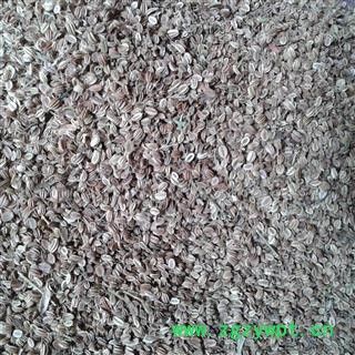 蛇床子 过筛选货 蛇米 双肾子 蛇床仁 蛇床 气果 额头花子 野茴香  产地 内蒙古自治区通辽市科尔沁左翼中旗图2