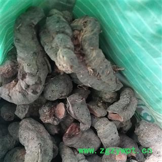 新辉药业正品拳参 紫参 草河车 山虾图2