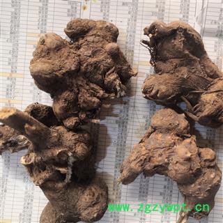 新辉药业正品白术  浙白术 浙八件之一图4