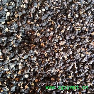 枸杞子 黑枸杞 花青素之王 小颗粒果实 产地 青海省图2