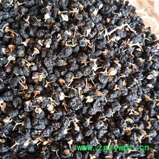 枸杞子 黑枸杞 花青素之王 小颗粒果实 产地 青海省图3