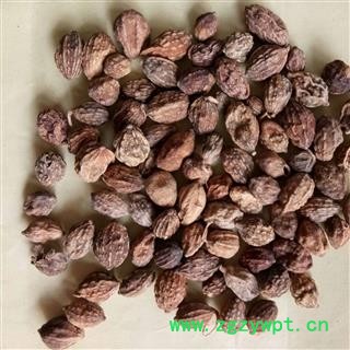 益智仁 益智仁选货(无虫蛀无霉变) 产地 海南省图2