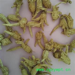 西洋参 加拿大1.5克开叉参 产地 海外 国药堂 专注品质图4