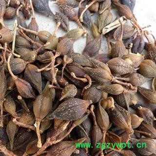 老翘 老翘（黄翘）统货 产地 山西省图2