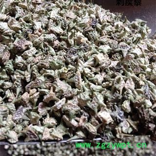 刺蒺藜 白蒺藜 新货色青选货 产地 内蒙古自治区图2