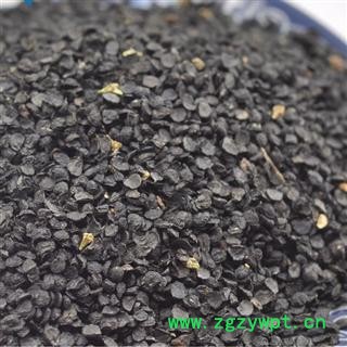 韭子,韭菜子,韭菜籽,韭菜 药用保含量实物拍摄图2