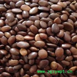 供应中药材【皂角子 皂荚子 皂角豆】产地直销图2