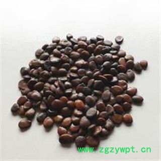 供应中药材【皂角子 皂荚子 皂角豆】产地直销图3