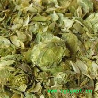 啤酒花 正品 无污染 精选 优质 预购从速图2