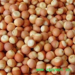 芡实 选 产地 广东省 库存 1000公斤可售图2