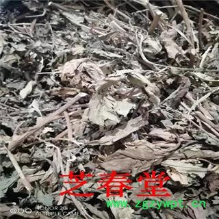 芝春堂 冷背药材供应 南非叶 将军叶 苦胆叶 杏叶斑鸠菊叶 尖尾凤图3