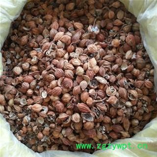 香砂 好统货，批发各种香料 产地 广西图2