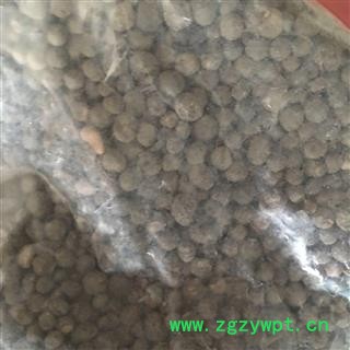 芝春堂 地下明珠 铁秤锤 土地子 地下珍珠 茅膏菜根 正品 落地珍珠图3