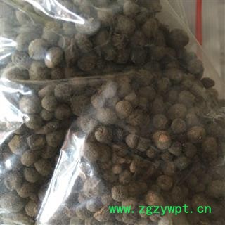 芝春堂 地下明珠 铁秤锤 土地子 地下珍珠 茅膏菜根 正品 落地珍珠图4