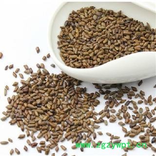 决明子 选 产地 亳州药市 库存 5000公斤可售图2