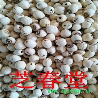 中药材批发白莲子 散装去芯白莲子红莲子还有莲须新货湘莲 各种规格图3
