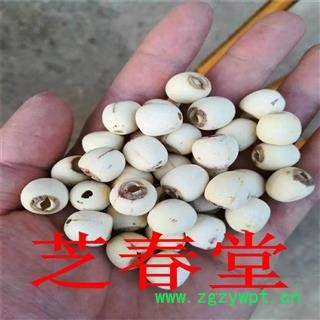 中药材批发白莲子 散装去芯白莲子红莲子还有莲须新货湘莲 各种规格图2