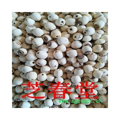 中药材批发白莲子 散装去芯白莲子红莲子还有莲须新货湘莲 各种规格