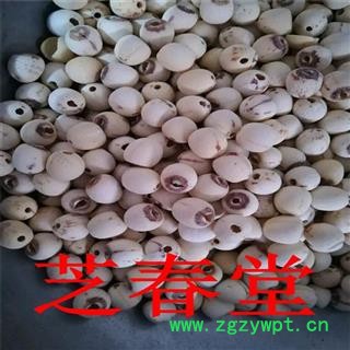 中药材批发白莲子 散装去芯白莲子红莲子还有莲须新货湘莲 各种规格图4