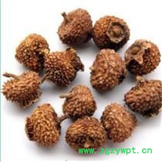芝春堂 刺梨 正品 野生 别称 山王果 佛朗果 茨梨 木梨子 刺菠萝 送春归 刺酸梨子 九头鸟 文先果图2