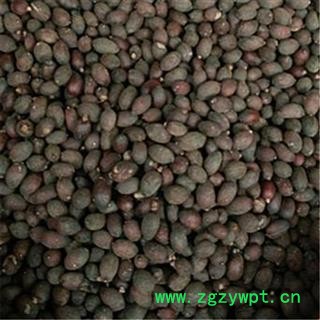芝春堂 无硫 正品中药材 葵树子 葵扇子葵 葵树籽 蒲葵籽 支持验货图4