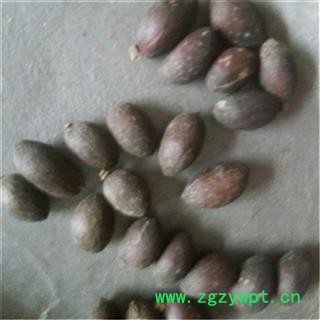芝春堂 无硫 正品中药材 葵树子 葵扇子葵 葵树籽 蒲葵籽 支持验货图2