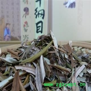 正品冷背药 中药材 沙棘叶 药都亳州 中药材批发零售图2