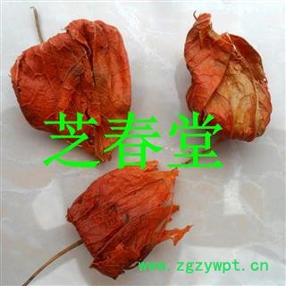 芝春堂 正品野生红姑娘皮 红菇娘皮 锦灯笼皮 灯笼果皮 支持验货图4
