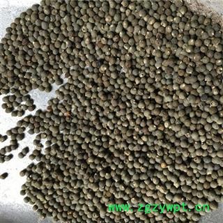芝春堂 批发黄蜀葵子 黄秋葵籽 毛茄种子现货 产地河南图2