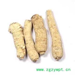 包邮 西洋参 选 西洋参长支15-20g 产地 吉林省松原市长岭县图2