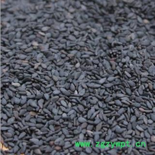 黑芝麻净货选货 质量好 价格低  产地直销 产地 山东省图2