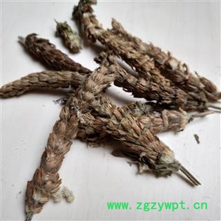 夏枯草 夏枯球净货 产地 安徽省图2