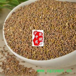 菟丝子 菟丝子水洗统货 产地 内蒙古自治区图2