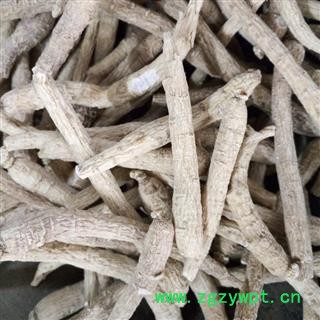 新辉药业优质西洋参 规格齐全图2