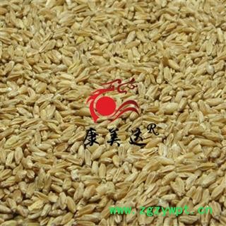浮小麦 统货 产地 河北省 凯捷中药图3