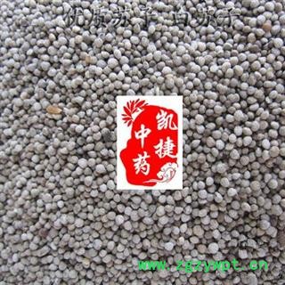 凯捷中药 白苏子 统货 产地 江苏省连云港市东海县图3