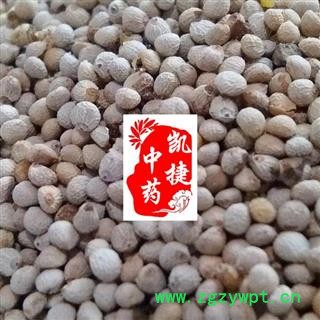 凯捷中药 白苏子 统货 产地 江苏省连云港市东海县图2