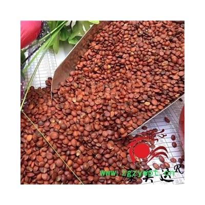 酸枣仁 生枣仁 枣仁 98货酸枣仁饱满精选货 产地 河北省