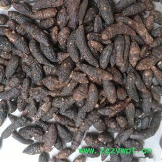 香附 中统 国药堂 专注品质 产地 山东省枣庄市图2