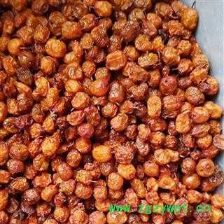 沙棘 沙棘果 新疆沙棘 精品沙棘果 产地 新疆维吾尔自治区图2