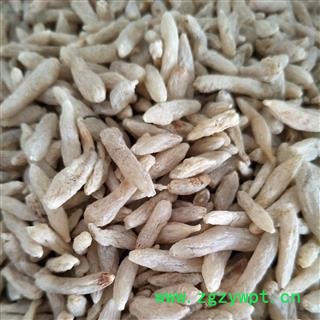 麦冬 川麦冬 选 产地 四川省 国药堂 专注品质图3