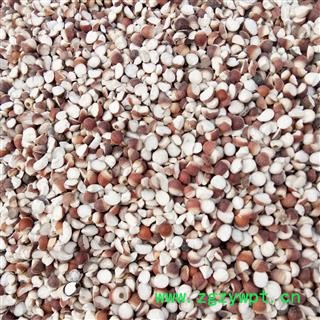 芡实 芡实米 碎粒 芡实四瓣 产地 广东省图2