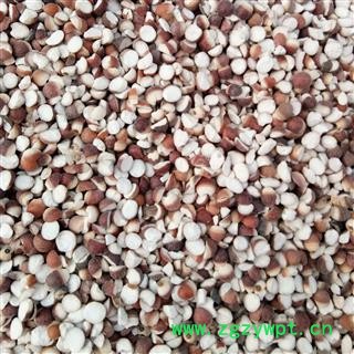 芡实 芡实米 碎粒 芡实四瓣 产地 广东省图3