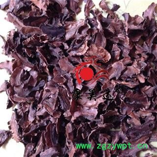 分心木 胡桃衣 胡桃夹 统货 产地 新疆维吾尔自治区 凯捷中药图2