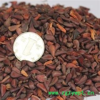 皱木瓜 木瓜籽 产地 江西省图2