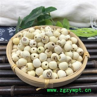 白莲子 山东实心磨皮白莲子 产地 湖南省图2