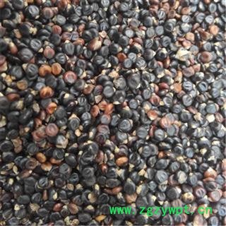 水红花子 净货 水荭子 荭草实 河蓼子 川蓼子 水红子 狗尾花子 产地东北图2