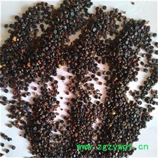 水红花子 净货 水荭子 荭草实 河蓼子 川蓼子 水红子 狗尾花子 产地东北图4