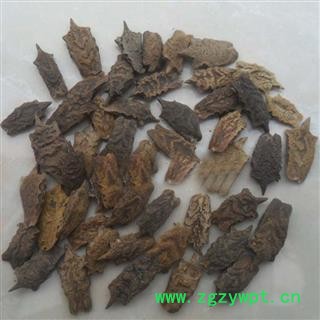 芝春堂 波棱瓜子 统货 色吉美多 各种中药材批发零售图3